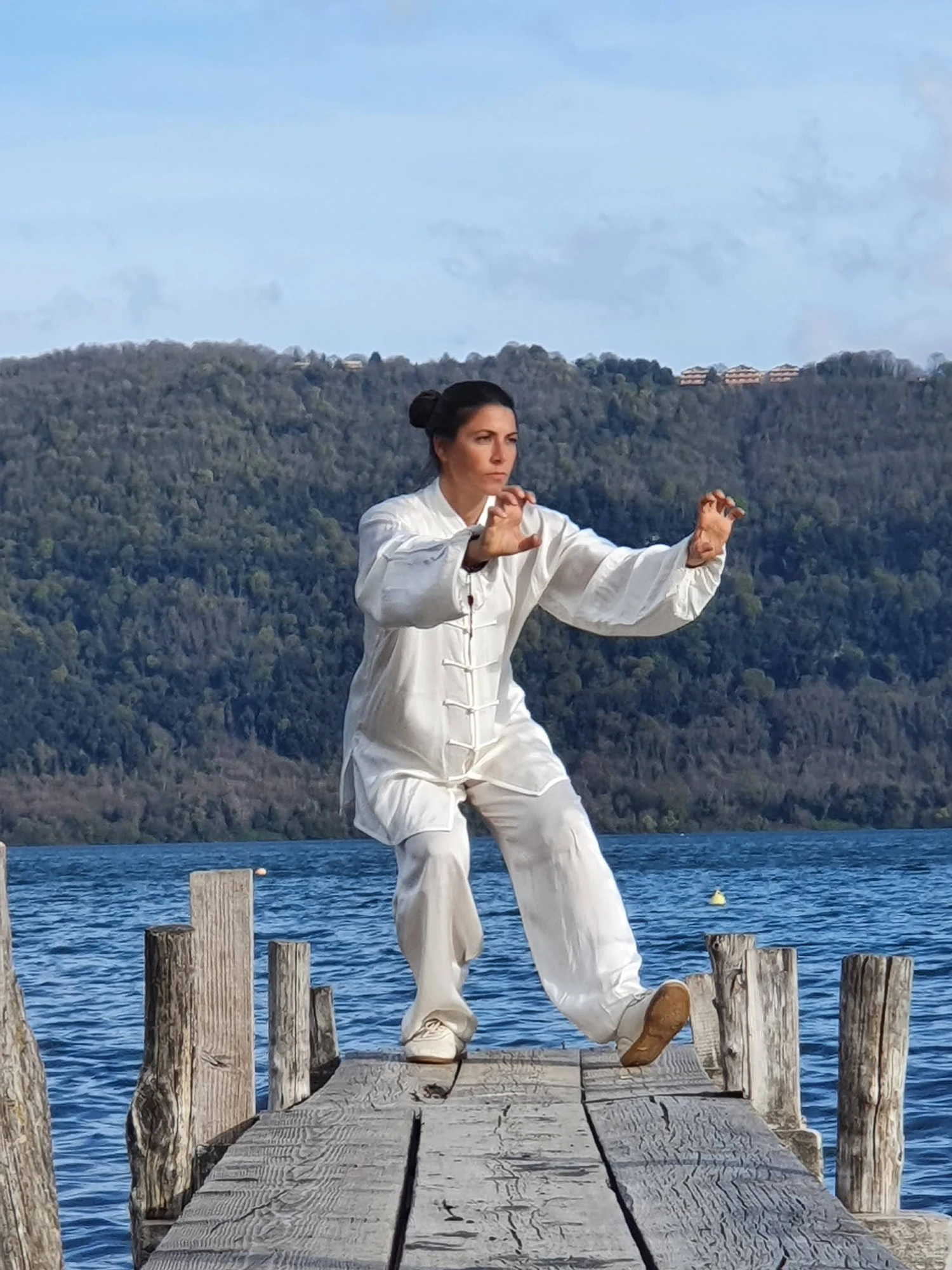 taichi figure carolina inda