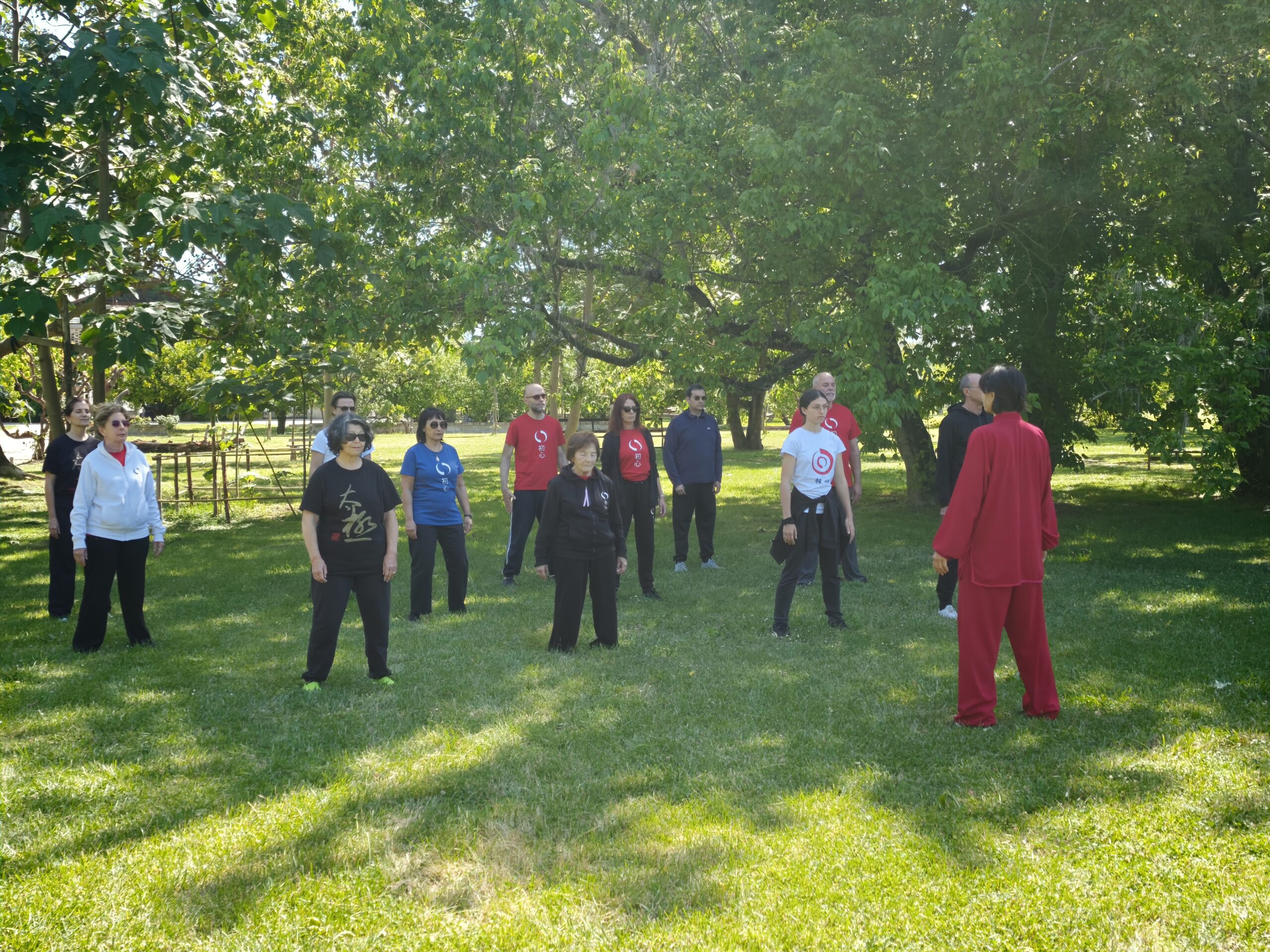Qi Gong Dao Yin, Nei Gong Taoista e Meditazione