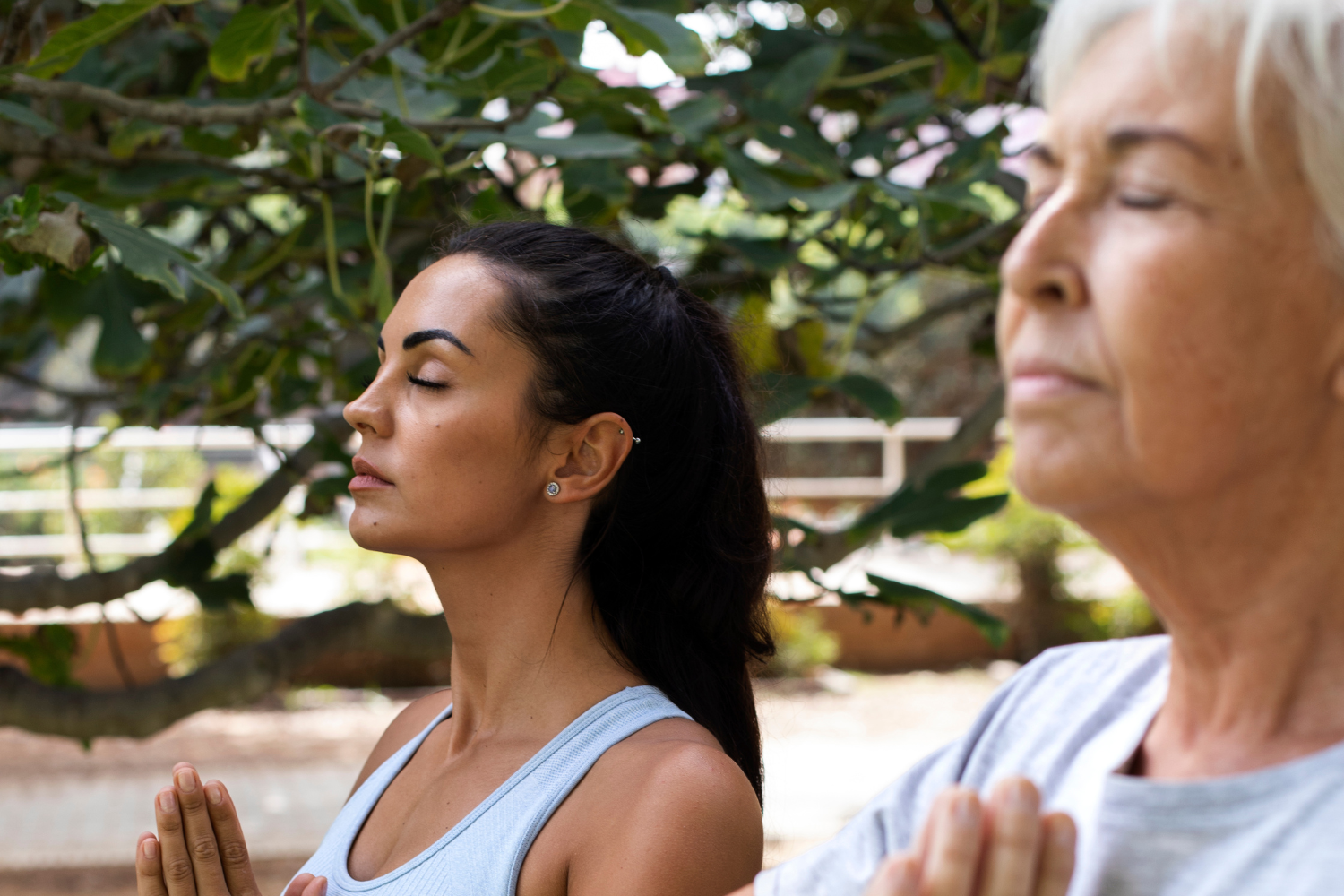 Perché Il Tai Chi È Una Pratica Per Tutta La Vita: La Guida